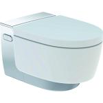 Silberne Geberit AquaClean Toilettendeckel & WC-Sitze 
