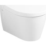 Weiße Geberit Toilettendeckel & WC-Sitze aus Kunststoff 
