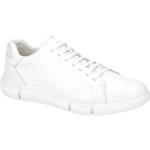 Weiße Unifarbene Geox Runde Low Sneaker in Normalweite aus Glattleder atmungsaktiv für Herren Größe 39,5 