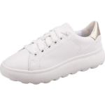 Reduzierte Weiße Geox Low Sneaker mit Schnürsenkel aus Leder für Damen Größe 40 