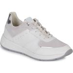 Reduzierte Weiße Geox Low Sneaker aus Leder für Damen Größe 39 mit Absatzhöhe 3cm bis 5cm 