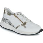 Reduzierte Weiße Geox Low Sneaker für Damen Größe 39 mit Absatzhöhe 3cm bis 5cm 