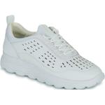 Reduzierte Weiße Geox Spherica Low Sneaker aus Leder für Damen Größe 40 mit Absatzhöhe 3cm bis 5cm 