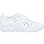 Reduzierte Weiße Geox Low Sneaker mit Schnürsenkel aus Leder für Damen Größe 41 