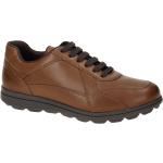 Braune Geox Spherica Runde Low Sneaker in Normalweite aus Glattleder mit herausnehmbarem Fußbett für Herren Größe 46 