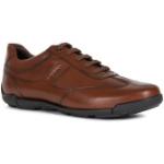Reduzierte Braune Elegante Geox Low Sneaker mit Schnürsenkel aus Leder leicht für Herren Größe 42 