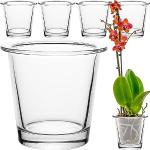 Orchideentöpfe aus Glas 6-teilig 
