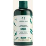 The Body Shop Ginger Vegane Bio Conditioner & Spülungen 60 ml mit Ingwer ohne Tierversuche 