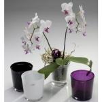 Auberginefarbene Sandra Rich Orchideentöpfe 6-teilig 