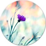 Violette Blumenglasbilder 