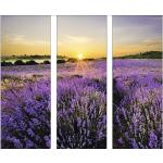 Lavendelfarbene Moderne Pure Living Bildersets mit Lavendel-Motiv glänzend aus Glas 3-teilig 