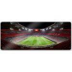 Reduzierte Bunte FC Bayern 3D Glasbilder 40x100 