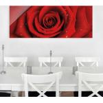 Glasbild - Rote Rose mit Wassertropfen - Panorama Quer - Blumenbild Glas Größe HxB: 50cm x 125cm