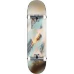 Globe G1 Stack Skateboard 8.25"