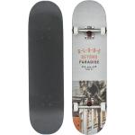 Globe G1 Varsity Skateboard 8.125 Inch melbourne - Komplett Board mit Tensor Achsen