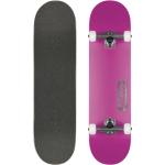 Globe Goodstock Skateboard 8.25 Inch neon purple - Komplett Board mit Tensor Achsen
