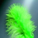 Hellgrüne Glorex Bastelfedern 15-teilig 