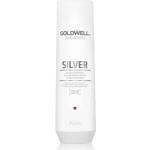 Goldwell Dualsenses Silbershampoos 250 ml blondes Haar 