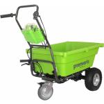 Grüne Akku Gartenwagen aus Kunststoff 