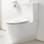 Weiße Grohe Essence Toiletten & WCs 