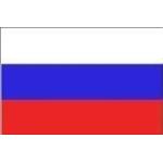 sie-suchen-wir-finden Russland Flaggen & Russland Fahnen 