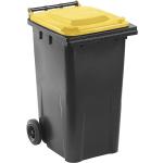 Anthrazitfarbene Mülltonnen 201l - 300l aus HDPE mit Deckel 