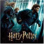 Grupo Erik Harry Potter Wandkalender 