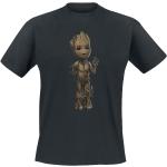 Guardians of the Galaxy Groot Fanartikel online kaufen