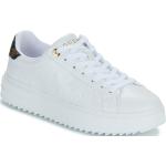 Weiße Guess Low Sneaker für Damen Größe 39 mit Absatzhöhe 3cm bis 5cm 