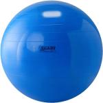 Gymnic Physio Ball 95 cm