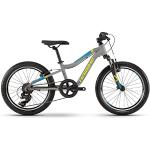 Haibike SEET Greedy 20R SF Kinder Fahrrad 2021 (20 inches, DG-187 (Grau/Blau/Lime Matt))