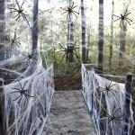 Reduzierte Weiße Spinnennetze mit Halloween-Motiv 