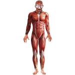 Reduzierte Rote Smiffys Anatomie-Kostüme aus Latex für Herren Größe M 