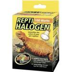 Halogen Spot Repti, 100 W