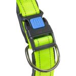 Neongrüne Hundehalsbänder 