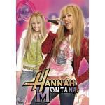 empireposter Hannah Montana 3D Poster 