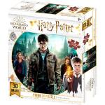 500 Teile Harry Potter 3D Puzzles für 5 - 7 Jahre 