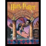 Graue Harry Potter Poster mit Rahmen mit Rahmen 30x40 