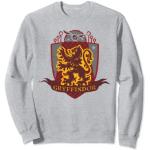 Graue Langärmelige Harry Potter Gryffindor V-Ausschnitt T-Shirts für Herren Größe S 