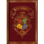 Rote Harry Potter Hogwarts Notizbücher & Kladden DIN A5 aus Papier 