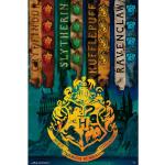 Harry Potter - House Flags - Poster