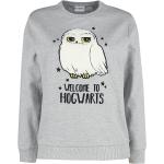 Graue Melierte Harry Potter Hedwig Rundhals-Ausschnitt Kindersweatshirts aus Baumwolle Größe 128 