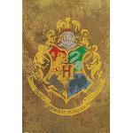 Bunte Harry Potter Hogwarts XXL Poster & Riesenposter 