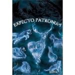 Wizarding World Harry Potter 'Patronus' Maxi Poster,61 x 91.5 cm