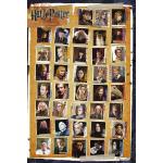 1art1 Harry Potter Poster 61x91 
