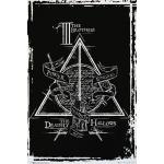 Harry Potter Poster - Deathly Hallows Graphic (91 x 61 cm)