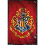 Close Up Harry Potter Hogwarts Poster 
