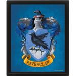 Harry Potter Ravenclaw Poster mit Rahmen aus Kunststoff mit Rahmen 