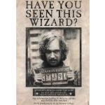 Schwarze empireposter Harry Potter Sirius Black Poster 