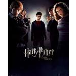 Harry Potter und der Orden des Phönix Poster 91,5 x 61 cm